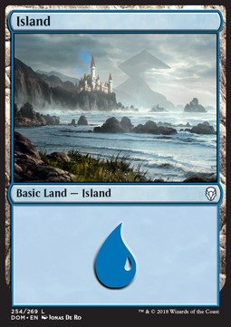Island (V.1) - Dominaria (Land) [DOM-254] Immagine principale del prodotto