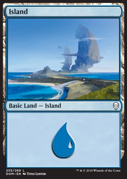 Island (V.2) - Dominaria (Land) [DOM-255] Immagine principale del prodotto