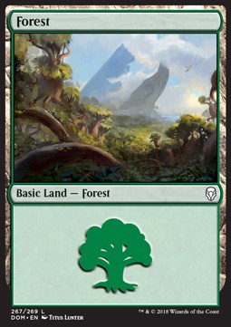Forest (V.2) Immagine principale del prodotto