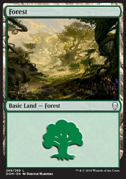 Forest (V.3) Immagine principale del prodotto
