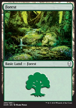 Forest (V.4) - Dominaria (Land) [DOM-269] Immagine principale del prodotto