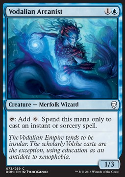 Vodalian Arcanist - Dominaria (Common) [DOM-73] Hover Image