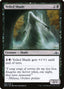 Veiled Shade - Guilds of Ravnica (Common) [GRN-88]