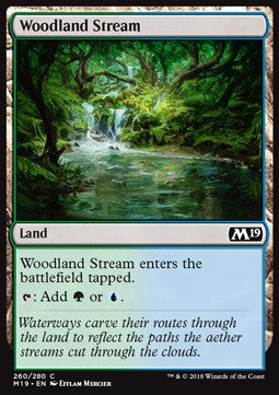 Woodland Stream - Core 2019 (Common) [M19-260] Hauptbild