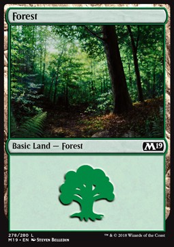 Forest (V.2) - Core 2019 (Land) [M19-278] Imagen principal del producto