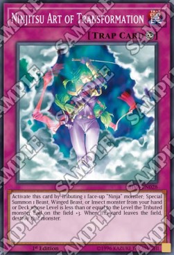Ninjitsu Art of Transformation - Shadows in Valhalla (Super Rare) [SHVA-028] Main image