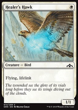 Healer's Hawk - Guilds of Ravnica (Common) [GRN-14] Immagine principale del prodotto