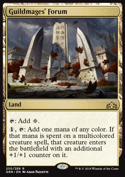 Guildmages' Forum - Guilds of Ravnica (Rare) [GRN-250] Hover Image