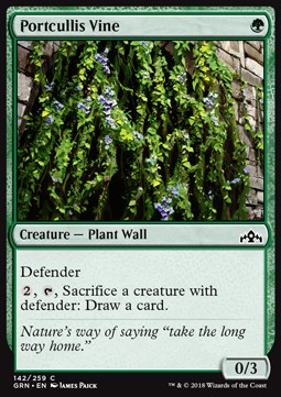 Portcullis Vine - Guilds of Ravnica (Common) [GRN-142] Immagine principale del prodotto