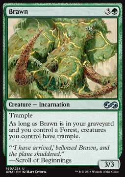 Brawn Hauptbild