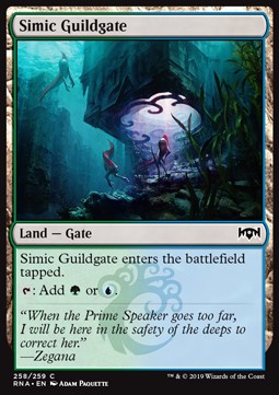 Simic Guildgate (V.2) - Ravnica Allegiance (Common) [RNA-258] Imagen principal del producto