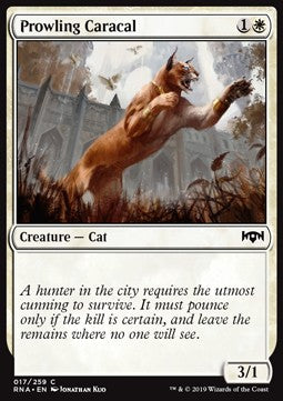 Prowling Caracal - Ravnica Allegiance (Common) [RNA-17] Hover Image