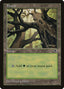 Magic-kaart Forest TMP-347 uit Tempest (Land)