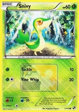 Snivy - Black & White (Promo) [BLW-1]