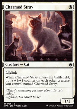 Charmed Stray - War of the Spark (Common) [WAR-8] Imagen principal del producto