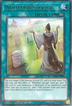 Whitefish Salvage - Dark Neostorm (Rare) [DANE-098] Hover Image