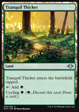 Tranquil Thicket - Modern Horizons (Uncommon) [MH1-248] Imagen principal del producto