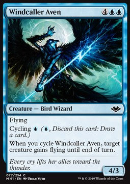 Windcaller Aven - Modern Horizons (Common) [MH1-77] Imagen principal del producto