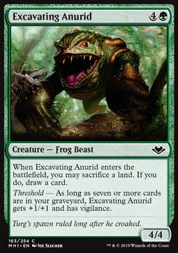 Excavating Anurid - Modern Horizons (Common) [MH1-163] Image principale du produit