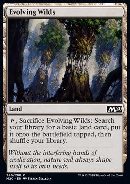 Evolving Wilds - Core 2020 (Common) [M20-246] Imagen principal del producto
