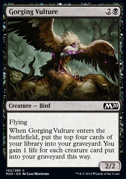 Gorging Vulture - Core 2020 (Common) [M20-102] Hauptbild