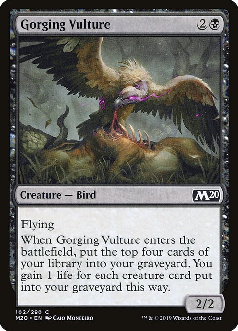 Gorging Vulture – Core 2020 (M20-102) Magic: The Gathering card