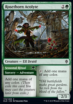 Rosethorn Acolyte // Seasonal Ritual - Throne of Eldraine (Common) [ELD-174] Hover Image