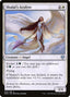 Shalai's Acolyte – Dominaria United (DMU-33) Magic: The Gathering card