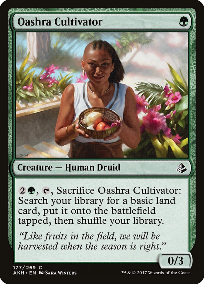 Oashra Cultivator - Amonkhet (Common) [AKH-177] Immagine principale del prodotto