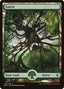 Forest – Battle for Zendikar (BFZ-273) Magic: The Gathering card | LC-REM-20260804-15909420302668-3f7f206a-7b5e-4fd5-8c9e-d665ac3f7dea