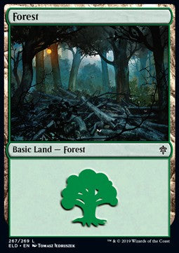 Forest (V.2) - Throne of Eldraine (Land) [ELD-267] Hauptbild