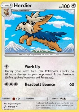 Herdier - Cosmic Eclipse (Uncommon) [CEC-175] Hover Image