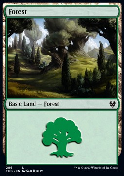 Forest (V.1) - Theros Beyond Death: Extras (Land) [XTHB-286] Imagen principal del producto