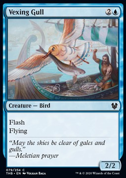Vexing Gull - Theros Beyond Death (Common) [THB-79] Main image