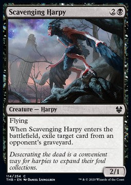 Scavenging Harpy - Theros Beyond Death (Common) [THB-114] Main image