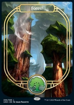Forest (V.2) Main image