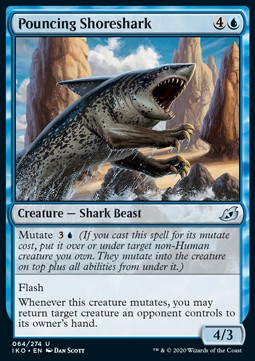 Pouncing Shoreshark - Ikoria: Lair of Behemoths (Uncommon) [IKO-64] Hoofdafbeelding