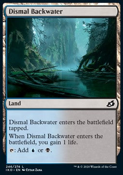 Dismal Backwater Main image