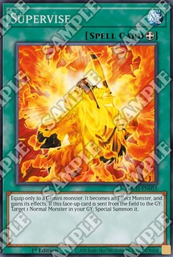 Supervise - Toon Chaos (Rare) [TOCH-055] Image principale du produit