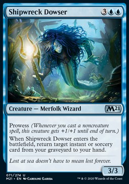 Shipwreck Dowser - Core 2021 (Uncommon) [M21-71] Hauptbild
