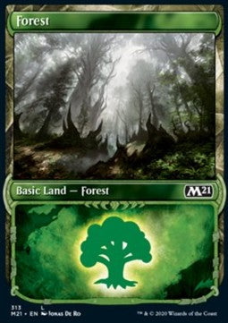 Forest - Core 2021: Extras (Land) [XM21-313] Immagine principale del prodotto