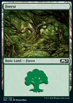 Forest (V.1) - Core 2021 (Land) [M21-272] Hauptbild