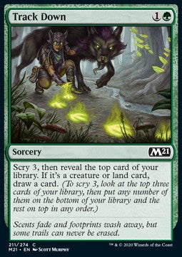 Track Down - Core 2021 (Common) [M21-211]