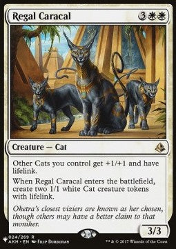 Regal Caracal - The List (Rare) [ZNL-24] Imagen principal del producto