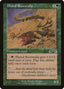 Plated Rootwalla – Exodus (EXO-116) Magic: The Gathering card