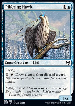 Pilfering Hawk - Kaldheim (Common) [KHM-71] Hauptbild