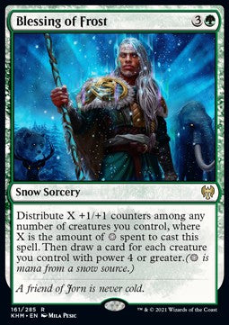 Blessing of Frost - Kaldheim (Rare) [KHM-161] Hauptbild