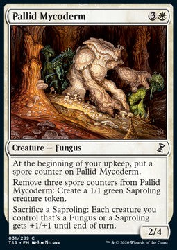 Pallid Mycoderm Hauptbild