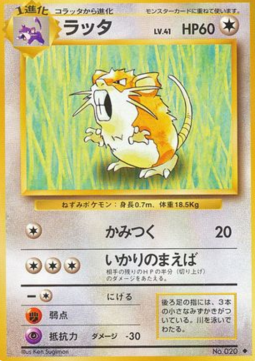 Raticate - Expansion Pack (Uncommon) Hauptbild
