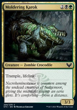 Moldering Karok - Strixhaven: School of Mages (Common) [STX-206] Hauptbild